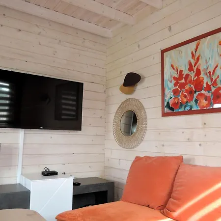 In By Szczecin Lagoon *