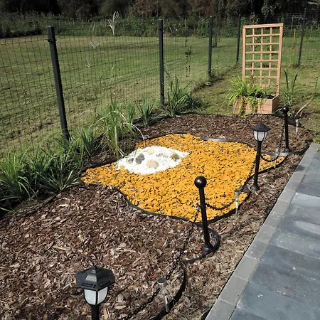 In By Szczecin Lagoon