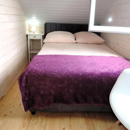 In By Szczecin Lagoon * Stepnica