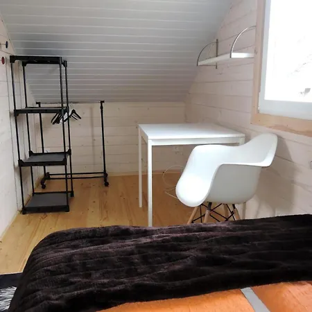 In By Szczecin Lagoon